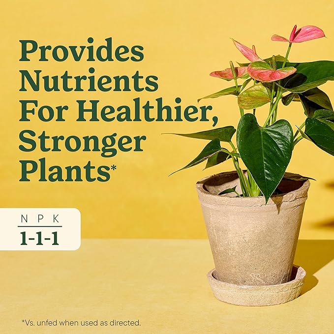 Miracle-Gro Indoor Plant Food for All Plants, Liquid Plant Food for Houseplants, Flowers, Vegetables, Herbs, and More, 8 fl. oz., 2-Pack