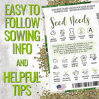 Seed Needs Italian Parsley & Chives Seeds for Planting Fresh Kitchen Herbs - Non-GMO Heirloom & Untreated Perennial Herb Seed to Plant a Culinary Garden Indoors or Outdoors (2 Packs)