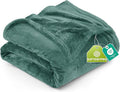 Utopia Bedding Fleece Blanket Queen Size Celadon 300GSM Luxury Fuzzy Soft Anti-Static Microfiber Bed Blanket (90x90 Inch)