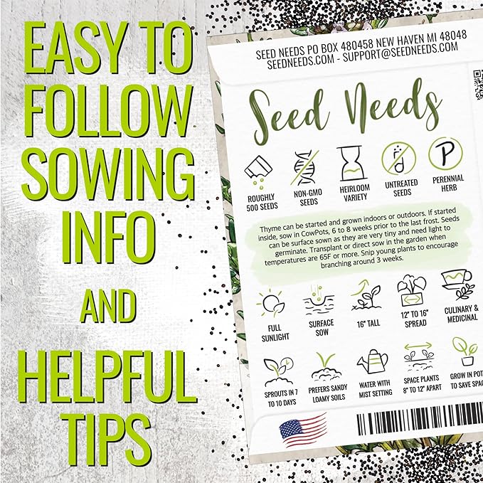 Seed Needs Rosemary & Thyme Seeds for Planting Fresh Kitchen Herbs - Non-GMO Heirloom & Untreated Perennial Herb Seed to Plant a Culinary Garden Indoors or Outdoors (2 Packs)