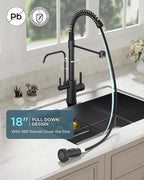 FORIOUS Black Kitchen Faucet with Purfied Water Filter, 2 in 1 Commercial Stainless Steel Pull Down Sink Faucet and Drinking Water Faucet 2 Handle for Pot Filler Kitchen Sink Farmhouse Bar