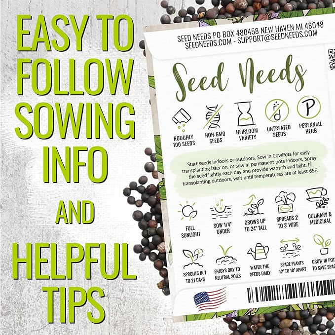Seed Needs Rosemary & Sage Seeds for Planting Fresh Kitchen Herbs - Non-GMO Heirloom & Untreated Perennial Herb Seed to Plant a Culinary Garden Indoors or Outdoors (2 Packs)