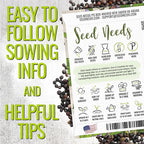 Seed Needs Rosemary & Sage Seeds for Planting Fresh Kitchen Herbs - Non-GMO Heirloom & Untreated Perennial Herb Seed to Plant a Culinary Garden Indoors or Outdoors (2 Packs)
