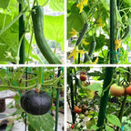 8 FT Garden Stakes for Outdoor Plant Support, 0.78 inch Diameter Plant Stake Sticks Metal Poles for Pole Beans Cucumber Tree Climbing Plants Gardening Supplies 10 Pack