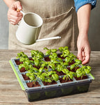 Burpee SuperSeed Seed Starting Tray | 16 XL Cell | Reusable & Dishwasher Safe | for Starting Vegetable Seeds, Flower Seeds & Herb Seeds | Indoor Grow Kit for Deep-Rooted Seedlings, Green