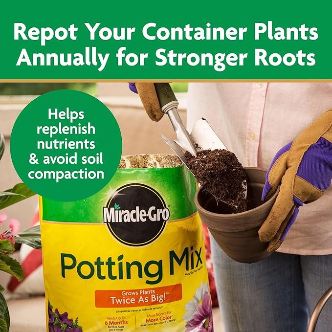 Miracle-Gro Potting Mix, For Container Plants, Flowers, Vegetables, Shrubs, Annuals, Perennials, Feeds up to 6 Months, 8 qt., 2-Pack