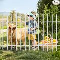Metal Decorative Garden Fence 36" H x 28" W (5 Panels, Total Length 11.6 feet), Metal Border Folding Fence, Landscape Fencing Dog Fence Pet Fence for Flower Bed, Yard, Animal Barrier (White)
