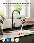 FORIOUS Black Kitchen Faucet with Soap Dispenser, Single Handle Stainless Steel Spring Sink Faucet with Pull Down Sprayer Transitional for Pot Filler, Farmhouse Camper Bar Laundry Room