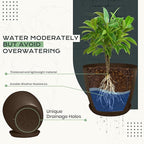 Utopia Home - Plant Pots Indoor with Drainage - 7/6.6/6/5.3/4.8 Inches Home Decor Flower Pots - Pack of 10 Plastic Planters for Indoor Plants, Cactus, Succulents Pot - Brown