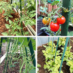 Garden Stakes 4FT Tomato Stakes for Outdoor Plant Support, 0.43 inch Diameter Plant Stake Sticks for Beans Potted Climbing Plants Gardening Supplies 20 Pack