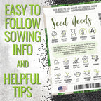 Seed Needs Sweet Basil & Italian Oregano Seeds for Planting Fresh Kitchen Herbs - Non-GMO Heirloom & Untreated Perennial & Annual Herb Seed to Plant a Culinary Garden Indoors or Outdoors (2 Packs)