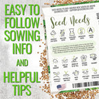 Seed Needs Cilantro & Dill Seeds for Planting Fresh Kitchen Herbs - Non-GMO Heirloom & Untreated Perennial Herb Seed to Plant a Culinary Garden Indoors or Outdoors (2 Packs)