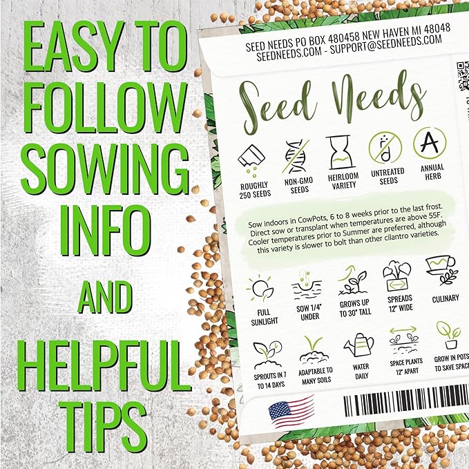 Seed Needs Cilantro & Dill Seeds for Planting Fresh Kitchen Herbs - Non-GMO Heirloom & Untreated Perennial Herb Seed to Plant a Culinary Garden Indoors or Outdoors (2 Packs)