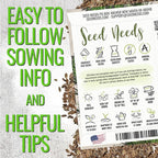 Seed Needs Cilantro & Dill Seeds for Planting Fresh Kitchen Herbs - Non-GMO Heirloom & Untreated Perennial Herb Seed to Plant a Culinary Garden Indoors or Outdoors (2 Packs)