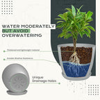 Utopia Home - Plant Pots Indoor with Drainage - 7/6.6/6/5.3/4.8 Inches Home Decor Flower Pots - Pack of 10 Plastic Planters for Indoor Plants, Cactus, Succulents Pot - Grey