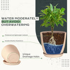 Utopia Home - Plant Pots Indoor with Drainage - 7/6.6/6/5.3/4.8 Inches Home Decor Flower Pots - Plastic Planters for Indoor Plants, Cactus, Succulents Pot (Pink, Pack of 10)