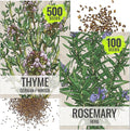 Seed Needs Rosemary & Thyme Seeds for Planting Fresh Kitchen Herbs - Non-GMO Heirloom & Untreated Perennial Herb Seed to Plant a Culinary Garden Indoors or Outdoors (2 Packs)