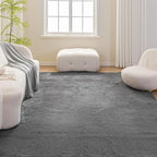 Amazon Basics Fluffy Washable Area Rug, Shaggy Carpet for Living Room, Bedroom, 8' W × 10' L, Dark Gray