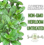 Seed Needs Sweet Basil & Italian Oregano Seeds for Planting Fresh Kitchen Herbs - Non-GMO Heirloom & Untreated Perennial & Annual Herb Seed to Plant a Culinary Garden Indoors or Outdoors (2 Packs)