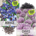 Seed Needs Borage & Chives Seeds for Planting Fresh Kitchen Herbs - Non-GMO Heirloom & Untreated Perennial Herb Seed to Plant a Culinary Garden Indoors or Outdoors (2 Packs)