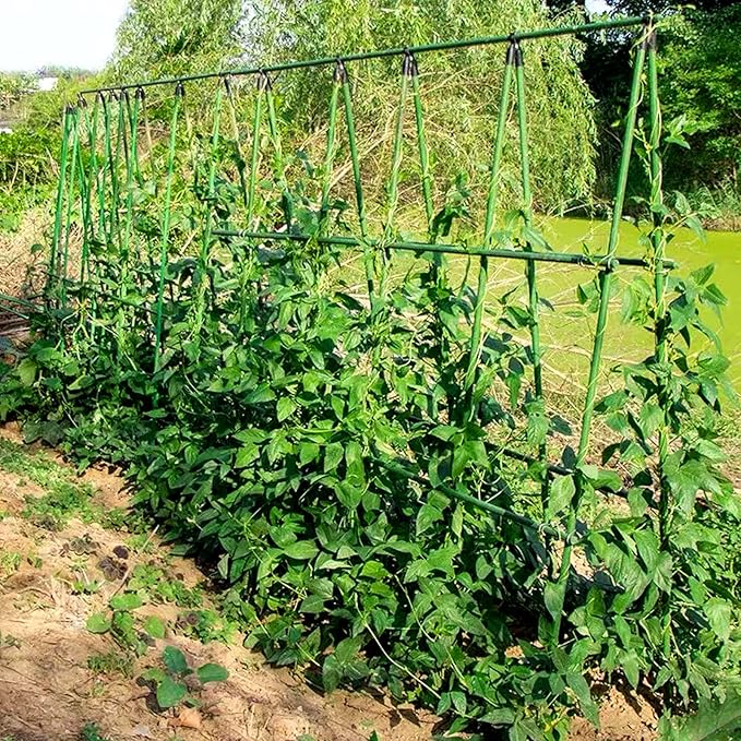 58 Inch (Approx 5FT) Garden Stakes for Outdoor Plant Support, 0.43 inch Diameter Plant Stake Sticks for Tomato Beans Potted Climbing Plants Gardening Supplies 20 Pack