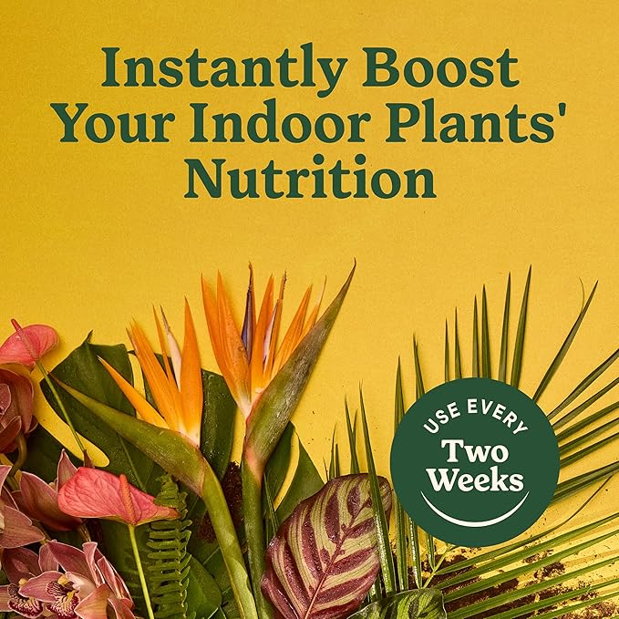 Miracle-Gro Indoor Plant Food for All Plants, Liquid Plant Food for Houseplants, Flowers, Vegetables, Herbs, and More, 8 fl. oz., 2-Pack