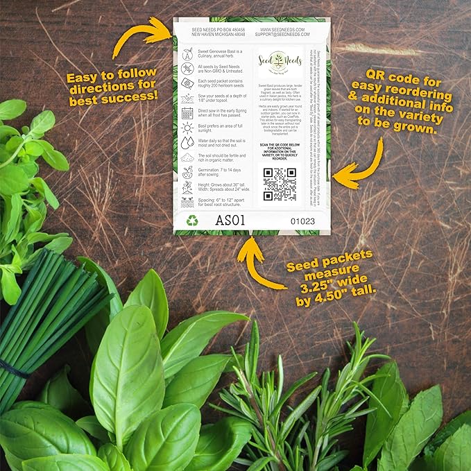Seed Needs Herb Seeds Variety Pack Culinary Herb Collection (12 Individual Packets for Planting Indoors or Outdoors) Grow Your Own Herb Garden - Heirloom, Non-GMO