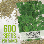 Seed Needs Italian Parsley & Chives Seeds for Planting Fresh Kitchen Herbs - Non-GMO Heirloom & Untreated Perennial Herb Seed to Plant a Culinary Garden Indoors or Outdoors (2 Packs)