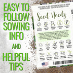 Seed Needs Sweet Marjoram & Thyme Seeds for Planting Fresh Kitchen Herbs - Non-GMO Heirloom & Untreated Perennial Herb Seed to Plant a Culinary Garden Indoors or Outdoors (2 Packs)