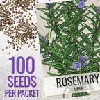 Seed Needs Rosemary & Thyme Seeds for Planting Fresh Kitchen Herbs - Non-GMO Heirloom & Untreated Perennial Herb Seed to Plant a Culinary Garden Indoors or Outdoors (2 Packs)