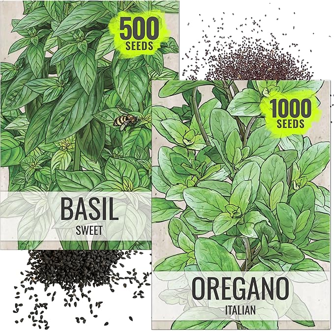 Seed Needs Sweet Basil & Italian Oregano Seeds for Planting Fresh Kitchen Herbs - Non-GMO Heirloom & Untreated Perennial & Annual Herb Seed to Plant a Culinary Garden Indoors or Outdoors (2 Packs)