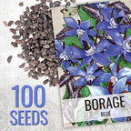 Seed Needs Borage & Chives Seeds for Planting Fresh Kitchen Herbs - Non-GMO Heirloom & Untreated Perennial Herb Seed to Plant a Culinary Garden Indoors or Outdoors (2 Packs)