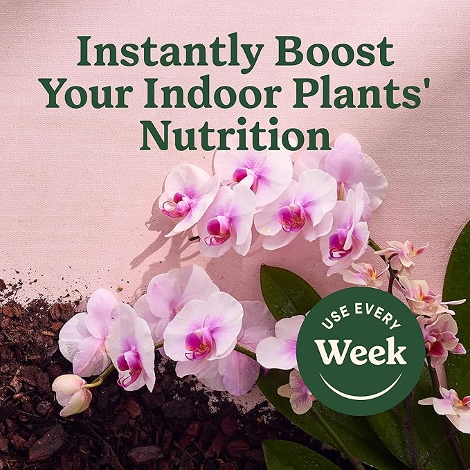 Miracle-Gro Indoor Plant Food Mist for Orchids, Orchid Plant Food, 8 fl. oz., 2-Pack