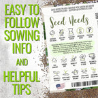 Seed Needs Sweet Marjoram & Italian Oregano Seeds for Planting Fresh Kitchen Herbs - Non-GMO Heirloom & Untreated Perennial Herb Seed to Plant a Culinary Garden Indoors or Outdoors (2 Packs)