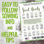 Seed Needs Sweet Basil & Italian Oregano Seeds for Planting Fresh Kitchen Herbs - Non-GMO Heirloom & Untreated Perennial & Annual Herb Seed to Plant a Culinary Garden Indoors or Outdoors (2 Packs)
