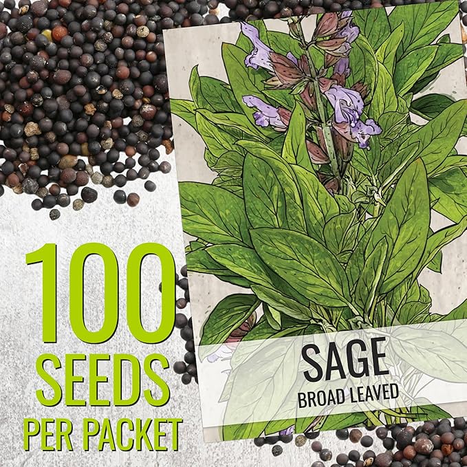 Seed Needs Rosemary & Sage Seeds for Planting Fresh Kitchen Herbs - Non-GMO Heirloom & Untreated Perennial Herb Seed to Plant a Culinary Garden Indoors or Outdoors (2 Packs)