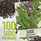Seed Needs Rosemary & Sage Seeds for Planting Fresh Kitchen Herbs - Non-GMO Heirloom & Untreated Perennial Herb Seed to Plant a Culinary Garden Indoors or Outdoors (2 Packs)