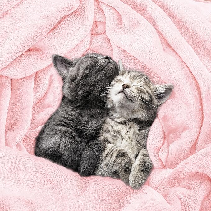 Utopia Bedding Fleece Blanket Twin Size Pink 300GSM Luxury Anti-Static Fuzzy Soft Microfiber Dorm Bed Blanket for Girls (60x80 Inch)
