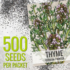 Seed Needs Rosemary & Thyme Seeds for Planting Fresh Kitchen Herbs - Non-GMO Heirloom & Untreated Perennial Herb Seed to Plant a Culinary Garden Indoors or Outdoors (2 Packs)