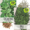 Seed Needs Cilantro & Dill Seeds for Planting Fresh Kitchen Herbs - Non-GMO Heirloom & Untreated Perennial Herb Seed to Plant a Culinary Garden Indoors or Outdoors (2 Packs)
