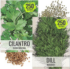 Seed Needs Cilantro & Dill Seeds for Planting Fresh Kitchen Herbs - Non-GMO Heirloom & Untreated Perennial Herb Seed to Plant a Culinary Garden Indoors or Outdoors (2 Packs)