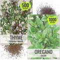 Seed Needs Thyme & Oregano Seeds for Planting Fresh Kitchen Herbs - Non-GMO Heirloom & Untreated Perennial Herb Seed to Plant a Culinary Garden Indoors or Outdoors (2 Packs)