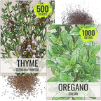 Seed Needs Thyme & Oregano Seeds for Planting Fresh Kitchen Herbs - Non-GMO Heirloom & Untreated Perennial Herb Seed to Plant a Culinary Garden Indoors or Outdoors (2 Packs)