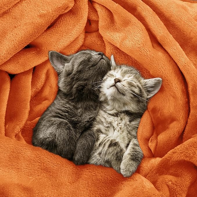 Utopia Bedding Fleece Blanket Twin Size Burnt Orange 300GSM Luxury Anti-Static Fuzzy Soft Microfiber Bed Blanket (60x80 Inch)