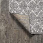 JONATHAN Y Boho Vintage Diamond Gray/Ivory Indoor Area Rug 12X18 ft, Moroccan Hype for Living Room, Bedroom, Kitchen, Office, Easy-Cleaning, High Traffic, Pet-Friendly, Non-Shedding (MOH101C-18)