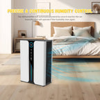 Dehumidify and Air purify muster absorb Household Mute room Basement C