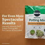 Miracle-Gro Indoor Plant Food for Cactus and Succulent, Liquid Plant Food for Indoor Succulents and Cactus, 8 fl. oz., 2-Pack