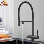 Black Grey Filtered Kitchen Faucet Water Filter Kitchen Faucets Filter Faucet Mixer Water Purification Water Drinking Water Taps