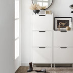 SoBuy FSR151 Shoe dump truck with 2 flap Shoe cabinet narrow shoe rack with 4 shelf surfaces Shoe chest of drawers Shoe shelf