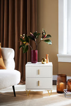 SoBuy FBT115 2 drawer bedside table for box spring bed sofa table side table table phone table bedside cabinet